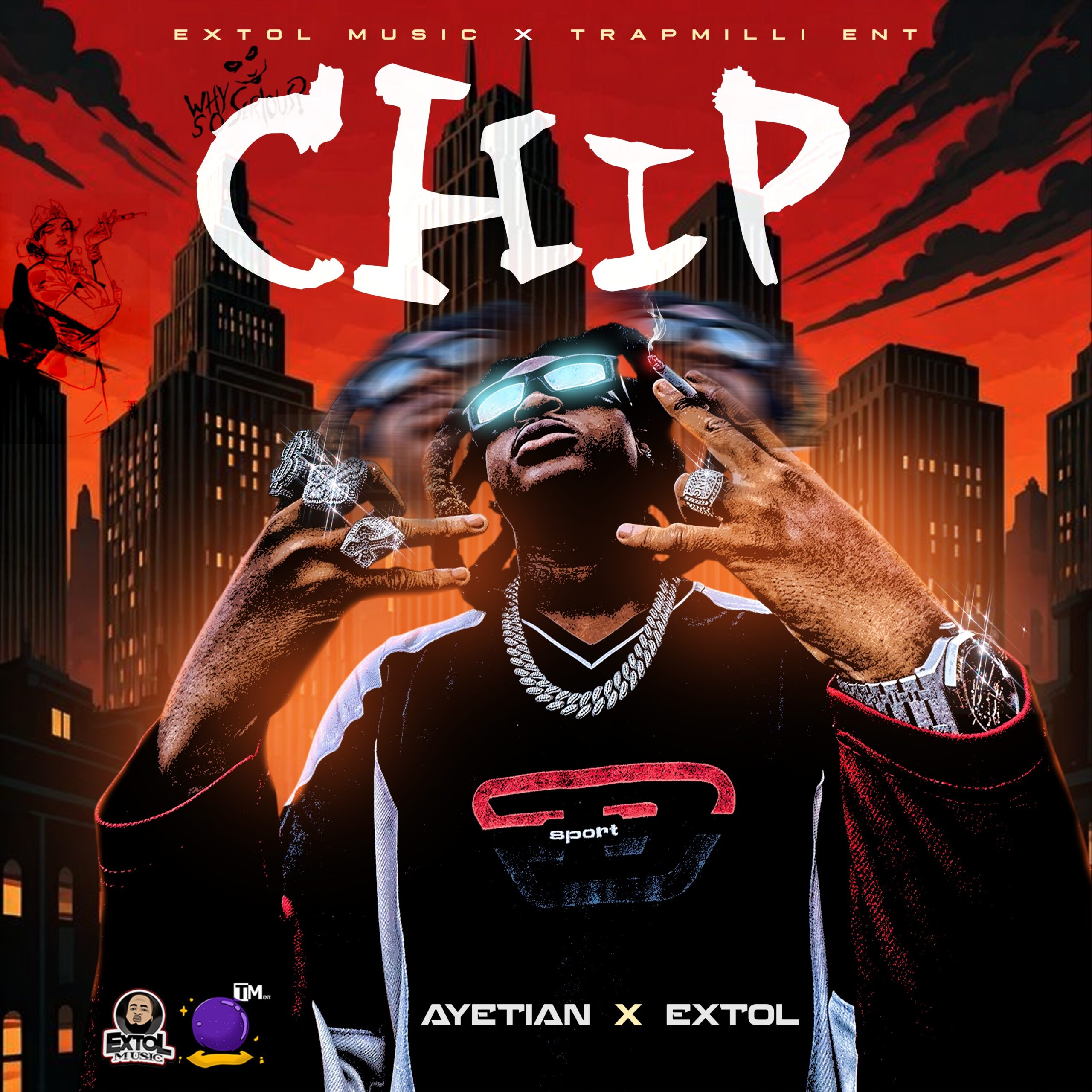 Chip